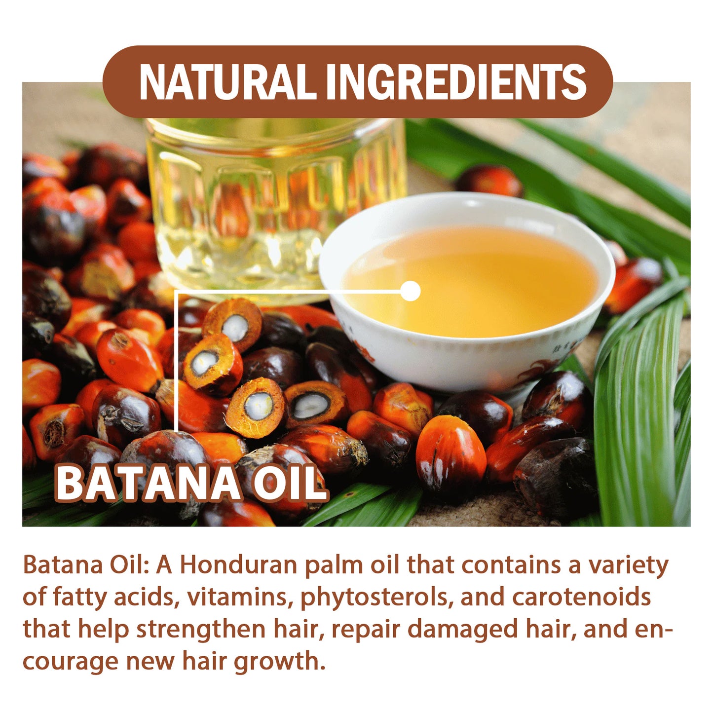 Natural Batana Oil,  Batana Oil From Honduras Unrefined For Men & Women 4.05 Fluid Ounces